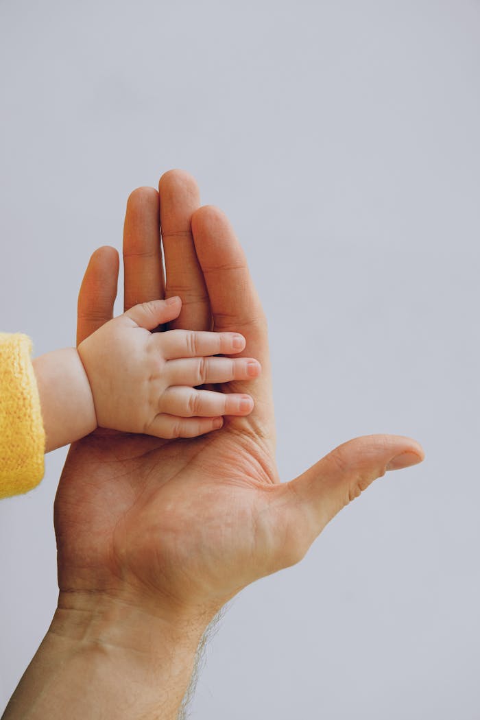 services-02 Crop anonymous baby in warm wear holding hand on palm of crop parent while standing against white background in studio