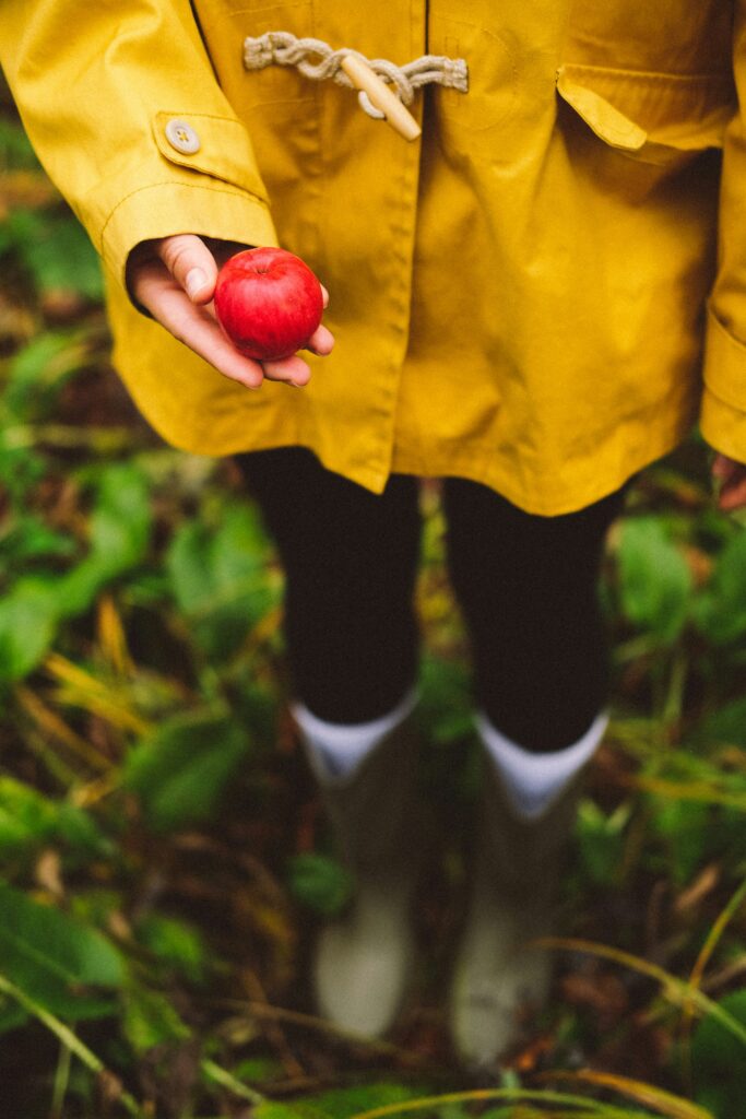 red apple